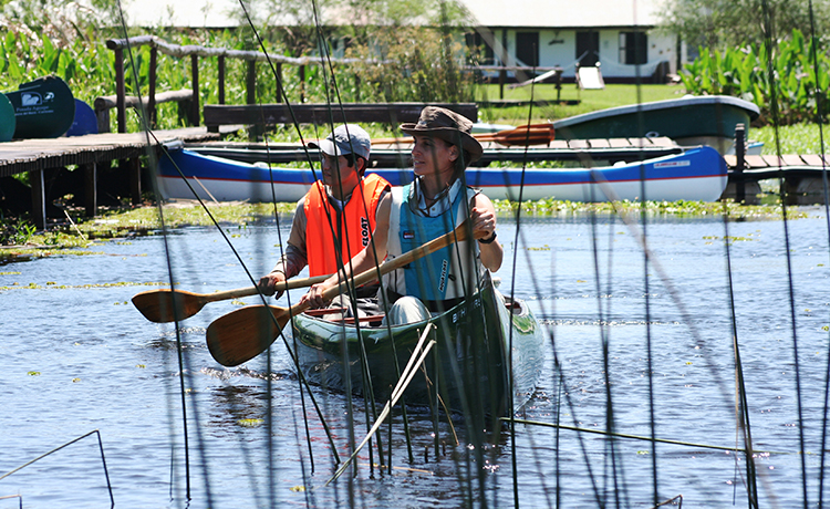 Esteros del Iberá, Corrientes