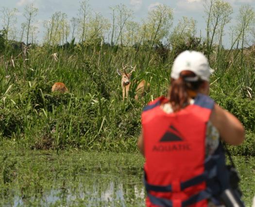 Formalizan la donación de más de 20.000 hectáreas para el Parque Nacional Iberá