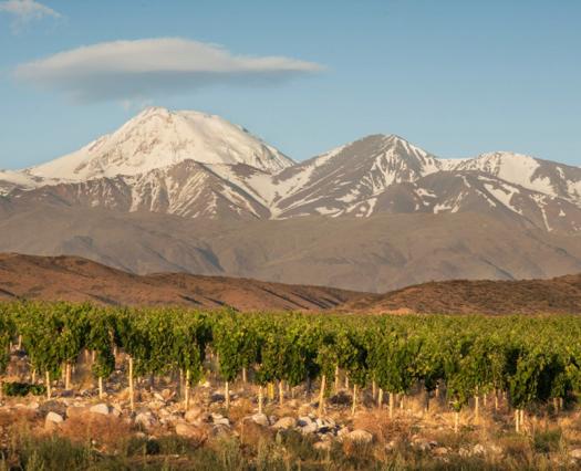 En el 2017 recibimos a la 2° Conferencia Mundial de Enoturismo