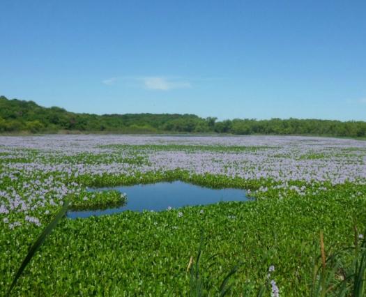 Trabajamos con Ambiente para el desarrollo sustentable de las regiones con una visión integrada del turismo y la conservación ambiental