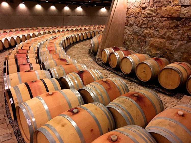 Barriles de vino en una bodega mendocina